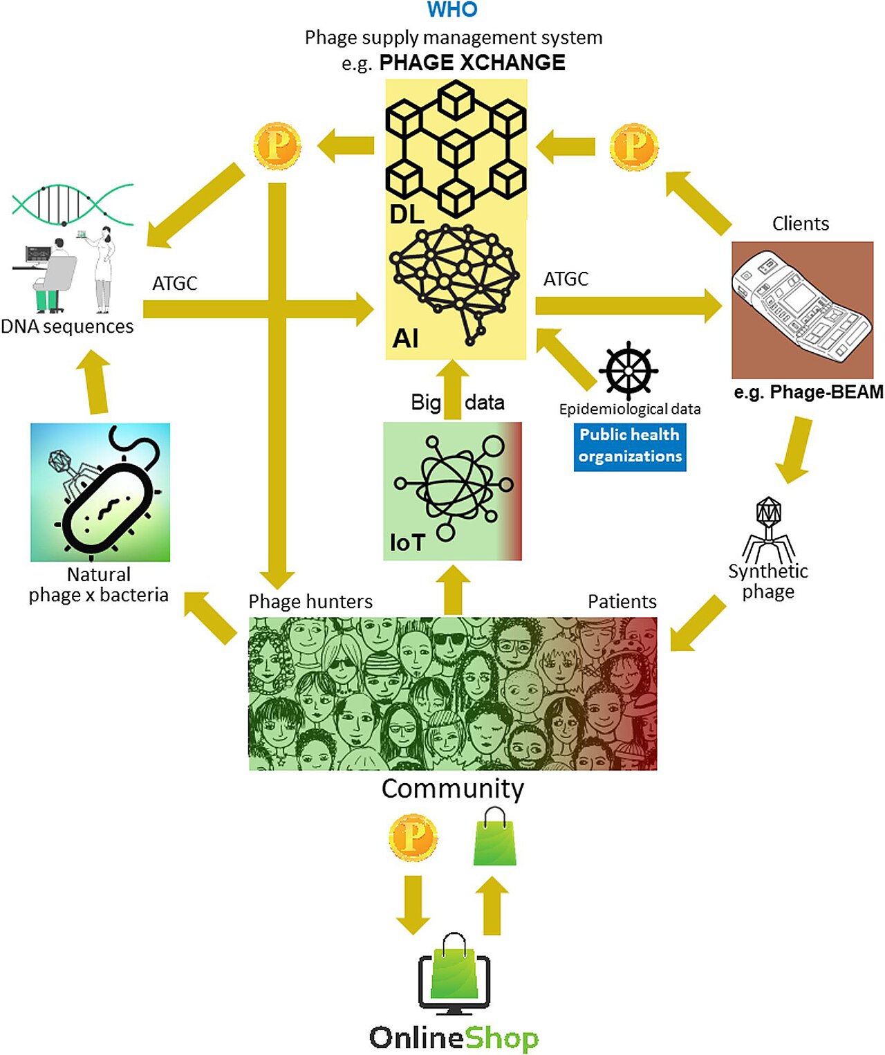AI Implementation Challenges in Supply Chains